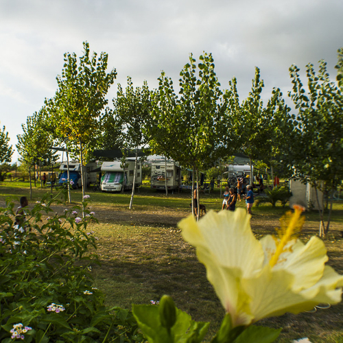 camping_il_calanco